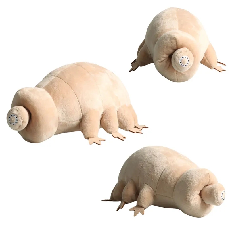 Kids Education Movies - 25cm 물 곰 Tardigrade 플러시 장난감