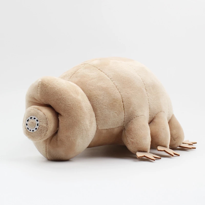 25cm 물 곰 Tardigrade 플러시 장난감 부드 - Kids Education Movies 리뷰 및 가격