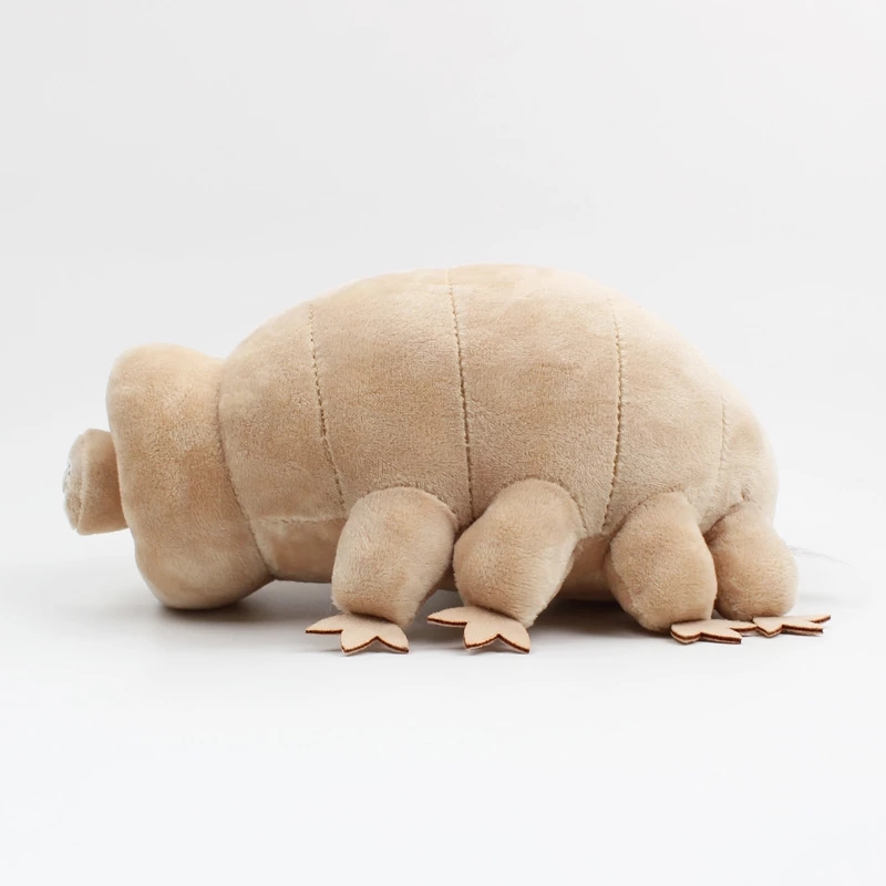 25cm 물 곰 Tardigrade 플러시 장난감 부드 - Kids Education Movies 리뷰 및 가격